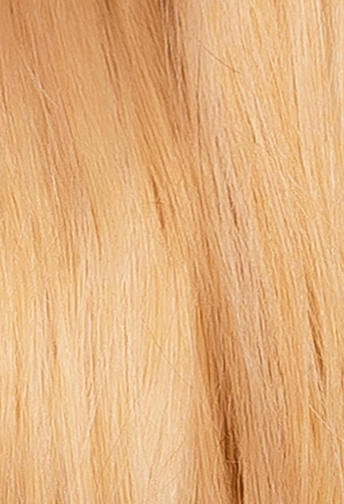 PONYTAIL I.C.E. prirodzená blond